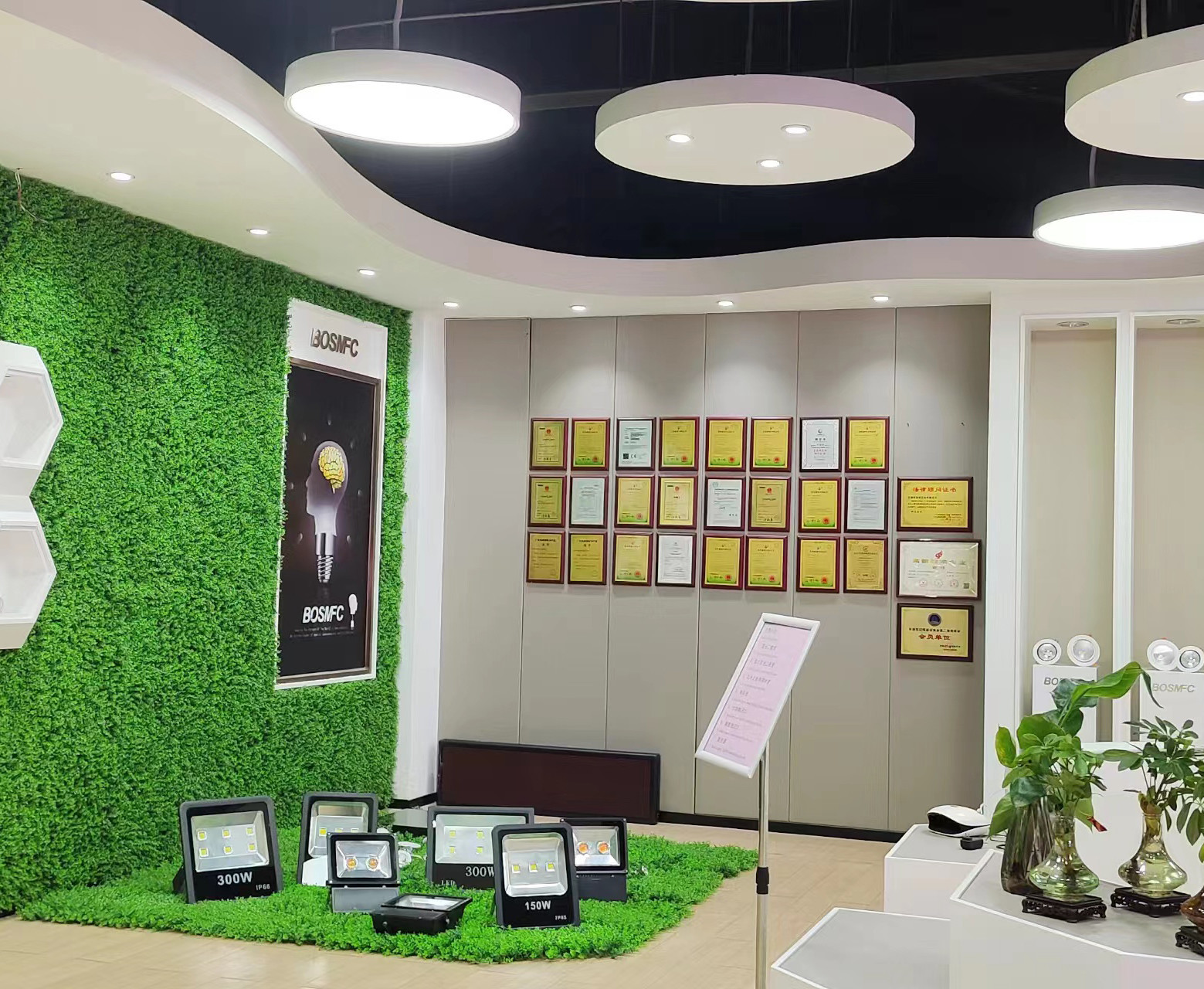 Chine Dongguan Lanjin Optoelectronics Co., Ltd. Profil de la société