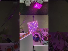 2835 SMD LED PCB à spectre complet COB Pour les plantes LED Grow Light