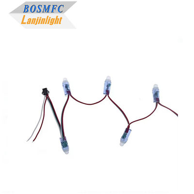 RGB Full Color Pixel étanche à l'eau WS2811 Pixels numériques à adresse LED Globe String Lights 12mm DC 5V